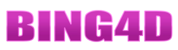 BING4D